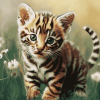 Cute Tiger Kitten Diamond Painting