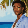 Death In Paradise Movie Series Diamond Painting