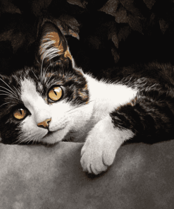 Devon Kitty Cats Diamond Painting