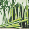 Diamond Sugarcane Plants Diamond Painting