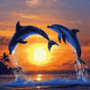 Dolphins and Sunset Diamond Painting