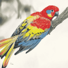 Eastern Rosella Parrots Diamond Painting