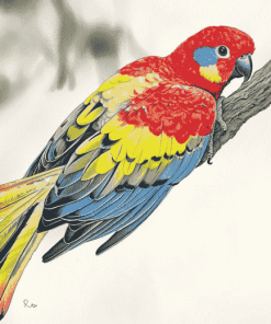 Eastern Rosella Parrots Diamond Painting