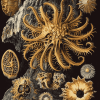 Ernst Haeckel Masterpieces Diamond Painting