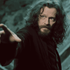 Explore the Magic of Sirius Black Diamond Painting