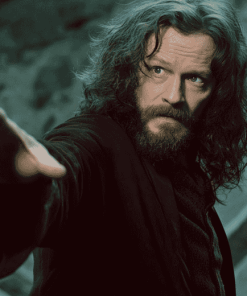 Explore the Magic of Sirius Black Diamond Painting