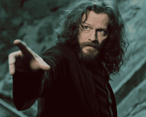 Explore the Magic of Sirius Black Diamond Painting