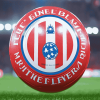 Fc Bayern Diamond Painting