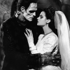 Frankenstein and Bride Movie Diamond Painting