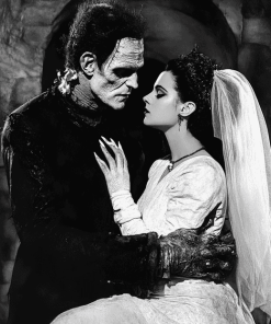 Frankenstein and Bride Movie Diamond Painting