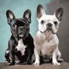 French Terrier Puppies Diamond Painting