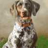 German Shorthaired Pointer Puppy Diamond Painting