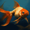 Gold Carp Fish Diamond Painting