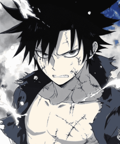 Gray Fullbuster Anime Diamond Painting