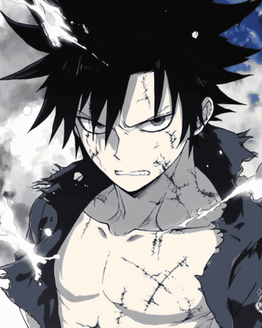 Gray Fullbuster Anime Diamond Painting