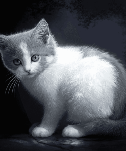 Grey and White Cats Diamond Painting