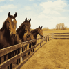 Horse Farm Scene Diamond Painting