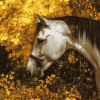 Horse in Autumn Leaves Diamond Painting