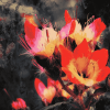 Indian Paintbrush Flowers Diamond Painting