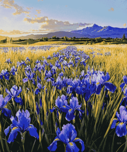 Iris Landscapes of Ireland Diamond Painting