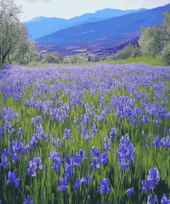 Irish Mountain Iris Field Diamond Painting