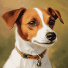 Jack Russell Puppy Diamond Painting