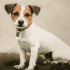 Jack Russell Terrier Puppies Diamond Painting