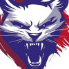 Kansas Wildcats Sports Logo Diamond Painting