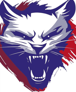 Kansas Wildcats Sports Logo Diamond Painting