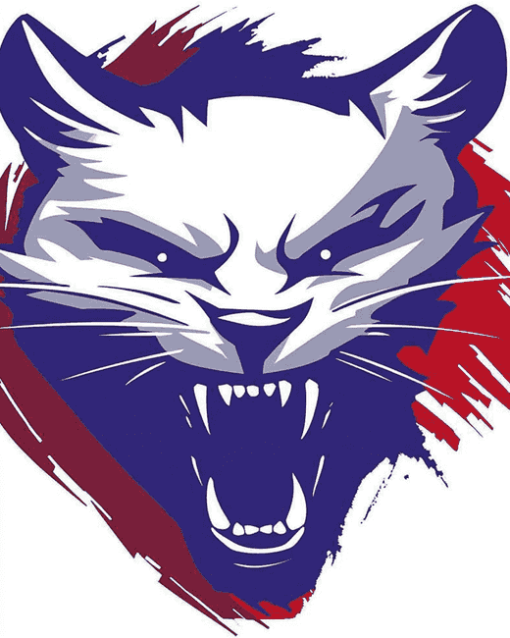 Kansas Wildcats Sports Logo Diamond Painting