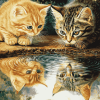 Kittens Water Reflection Diamond Painting