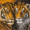 Lion and Tiger Wildlife Diamond Painting