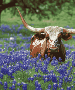 Longhorn and Bluebonnets Diamond Painting