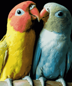 Lovebirds Parrots Diamond Painting