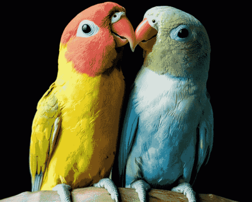 Lovebirds Parrots Diamond Painting