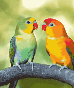 Lovely Lovebirds Parrot Diamond Painting