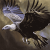 Majestic Flying Vulture Diamond Painting