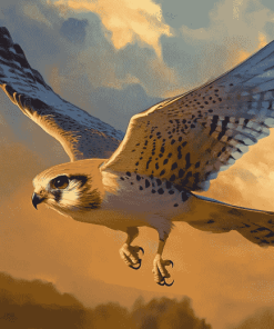 Majestic Kestrel Bird Diamond Painting