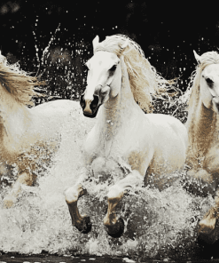 Majestic White Horses Diamond Painting