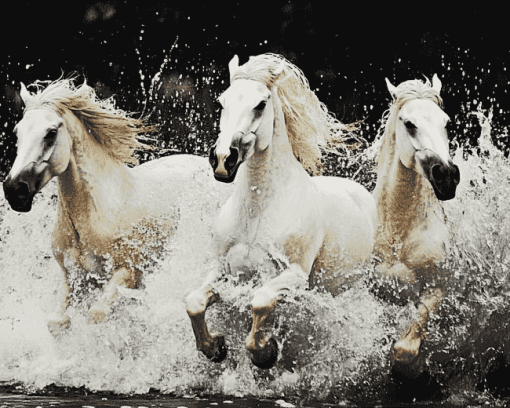 Majestic White Horses Diamond Painting