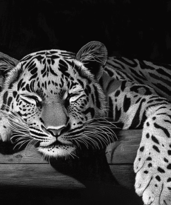 Monochrome Baby Tiger Diamond Painting