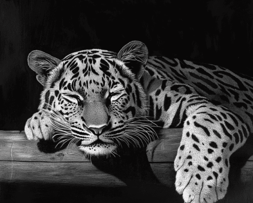 Monochrome Baby Tiger Diamond Painting