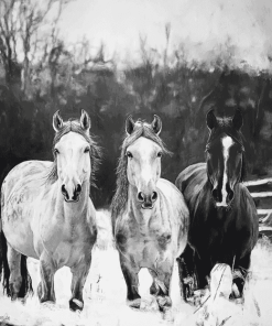 Monochrome Horses on the Farm Diamond Painting