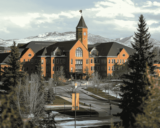 Montana State University Campus Diamond Painting