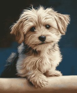 Morkie Puppy Diamond Painting