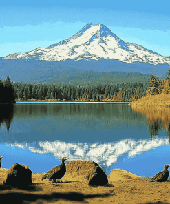 Oregon Mountain Lake Scene Diamond Painting