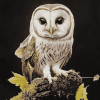 Owl Night Birds Diamond Painting