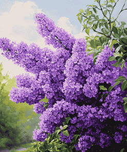 Purple Lilac Blossoms Diamond Painting