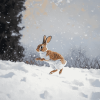 Rabbit Dancing in Snowy Mountains Diamond Painting