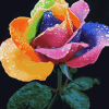 Rainbow Flower Blossoms Diamond Painting